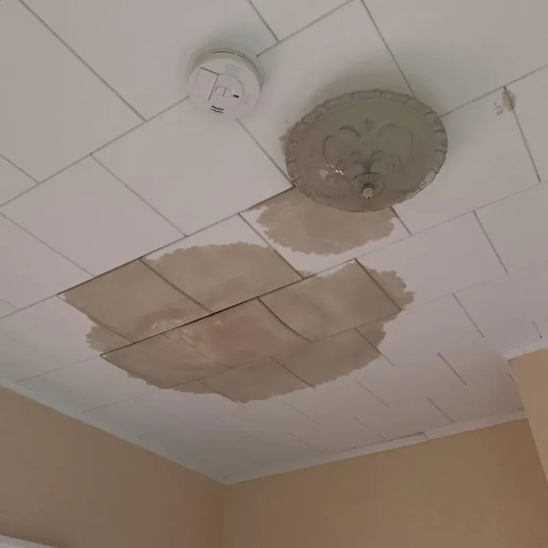 Ceiling Water Damage Repair in Orleans Parish, LA