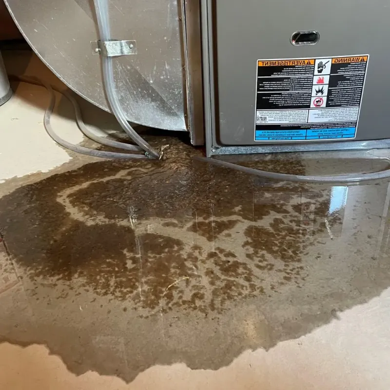 Pipe Burst and Leak Restoration in Orleans Parish, LA